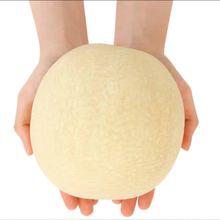 지금 안먹으면 내년까지 못먹는 꿀통멜론